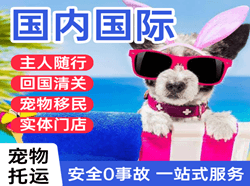 贵阳龙洞堡国际宠物托运 【国